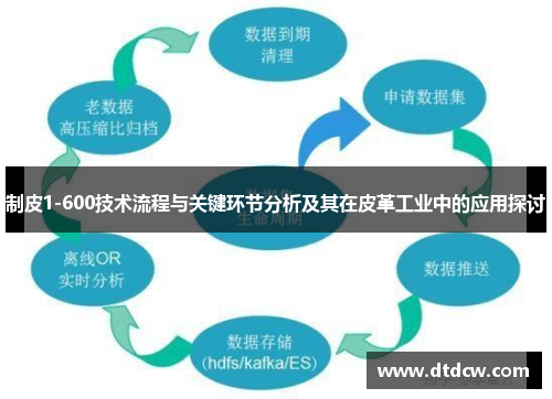 制皮1-600技术流程与关键环节分析及其在皮革工业中的应用探讨
