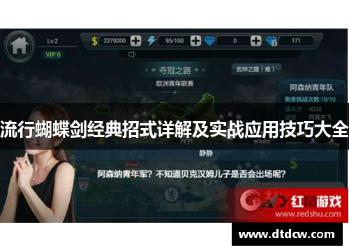 流行蝴蝶剑经典招式详解及实战应用技巧大全